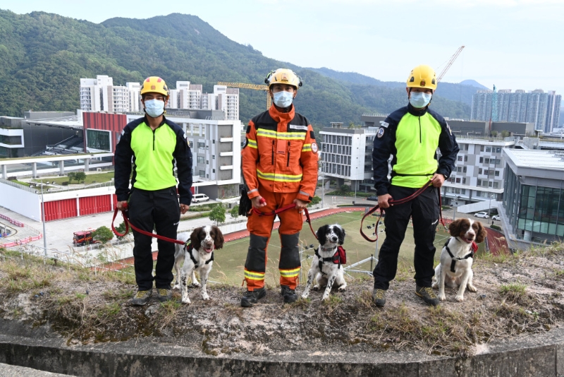 左起：领犬员陈柱匡与搜救犬Umi、领犬员姜伟文与搜救犬Uma、领犬员蒋天朗与搜救犬Twix。 梁文辉摄