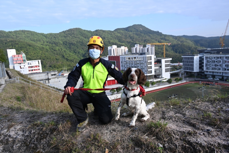 领犬员陈柱匡与自家繁殖搜救犬Umi合作无间。 梁文辉摄