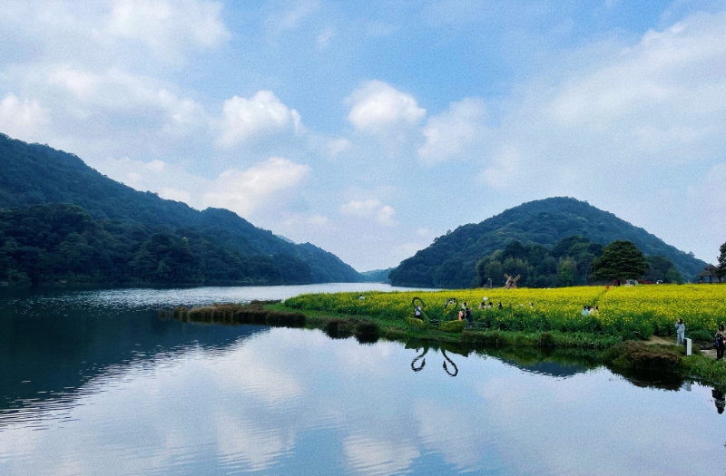 踏青游近来更被热捧。 微博图