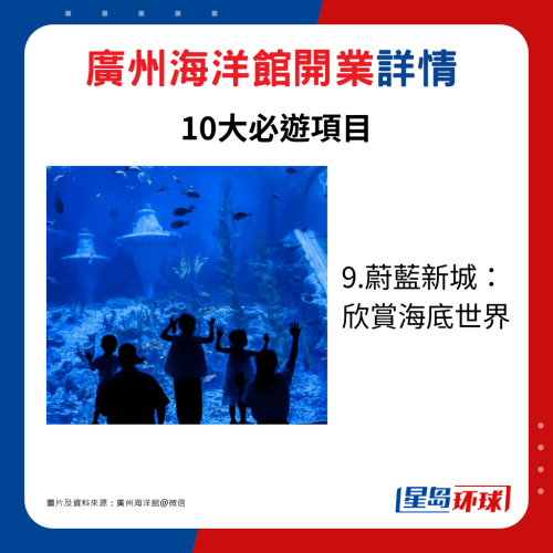 9.蔚蓝新城： 欣赏海底世界